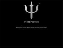 Tablet Screenshot of mindmettle.com